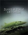 Žuvys ir žūklė Lietuvoje